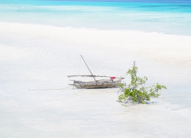 Finchè la barca va