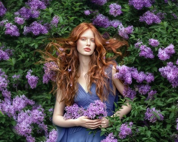 Lilac