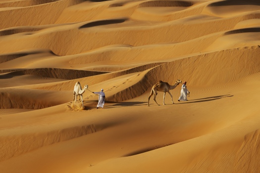 Liwa