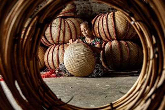 Inside the Basket