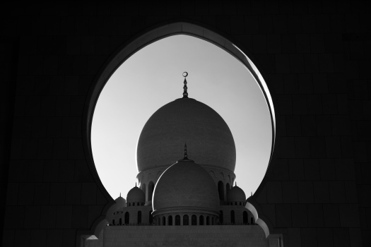 The Great Mosque of Zayed