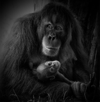 mother and child