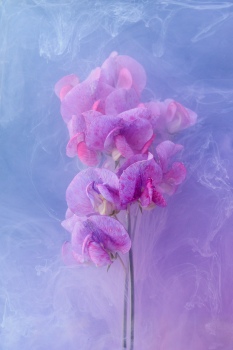 Flowing gentle flower