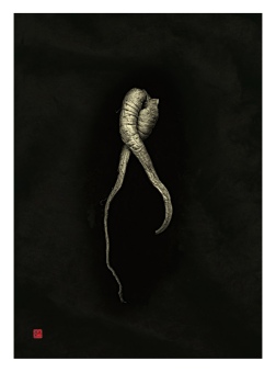 The Lovers, from the series Parsimony.