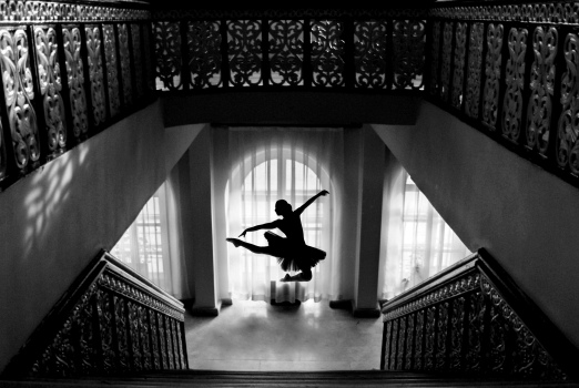 BLACK SWAN