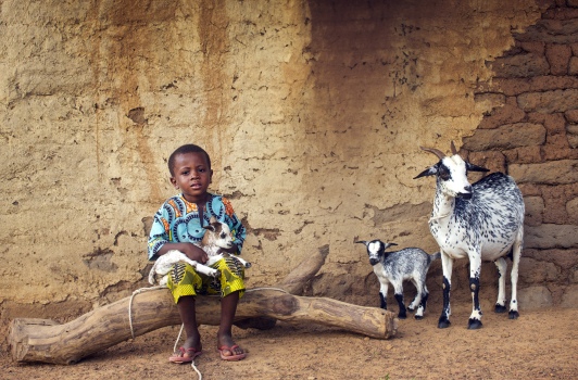 CHILD AND GOATS