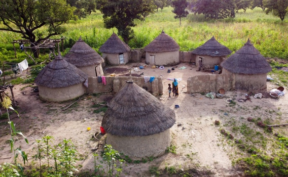 AFRICAN S LIFE