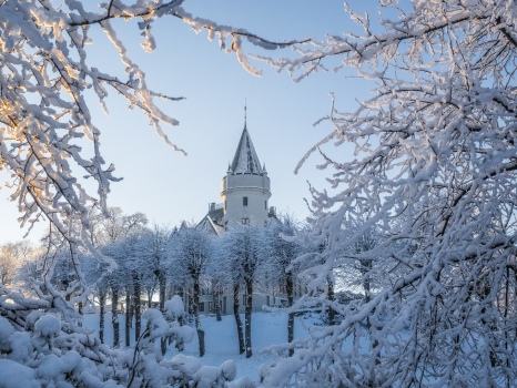 Kings castle in Bergen VI