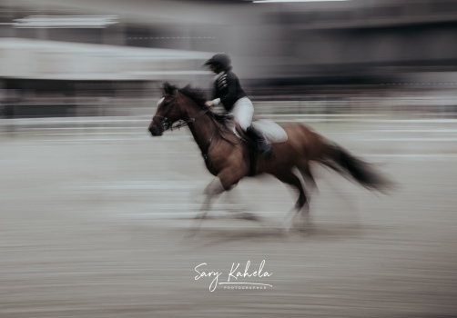 Photography of Show Jumping equestrian Sport