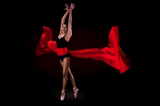 FLYING SWAN
