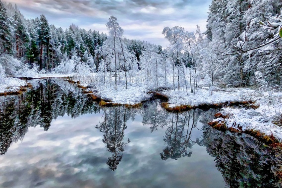 First snow 2