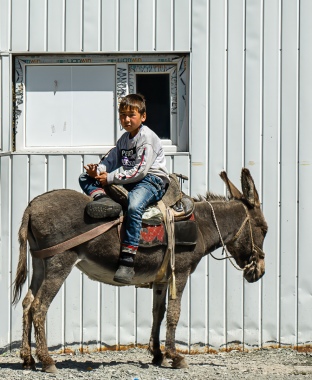 Boy on Donkey