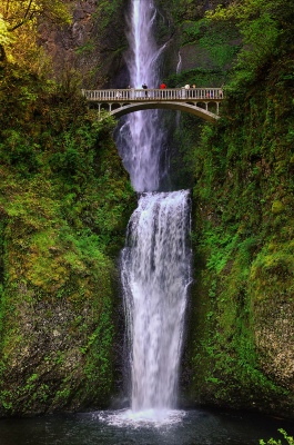 Columbian river falls