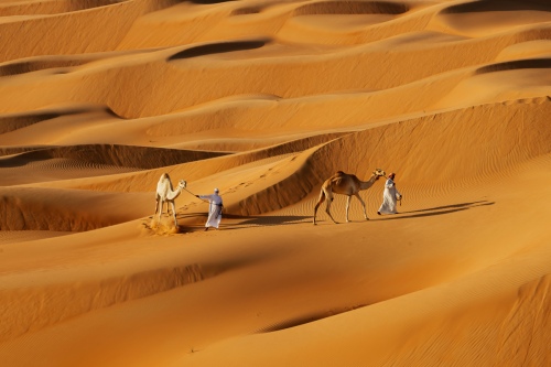 Liwa