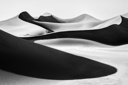 Lines of The Desert