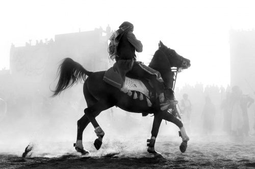 A Walking Horse