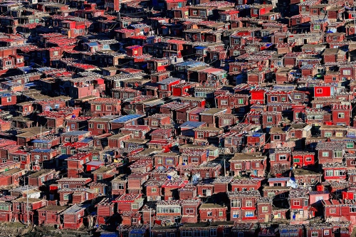 Red houses