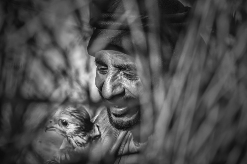 Old man and his birds