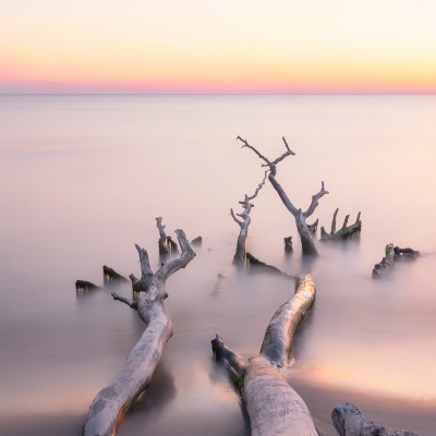 Baltic seashore