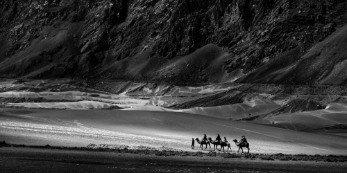  DESERT WALK