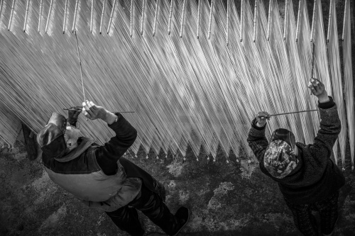 Drying noodles