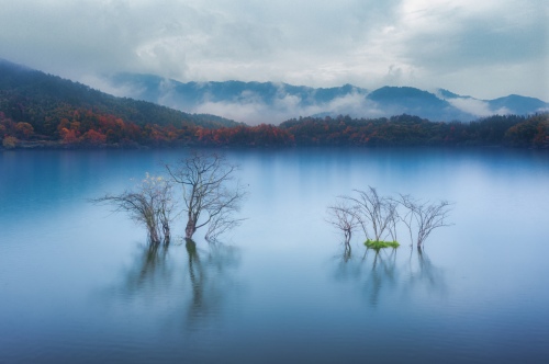 Tranquil