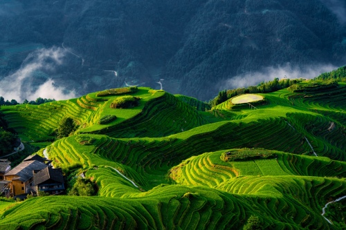 The coiled land
