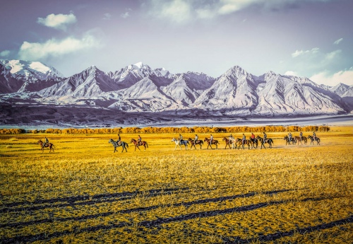 Return from horse racing