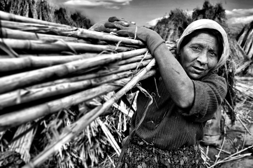 Old gypsy woman
