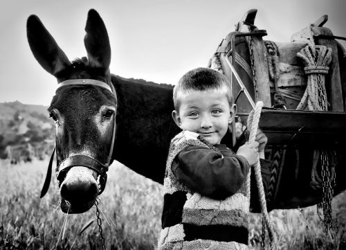 Little boy and foal