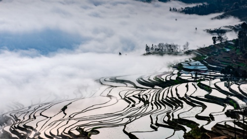 Misty Yuanyang Terrace