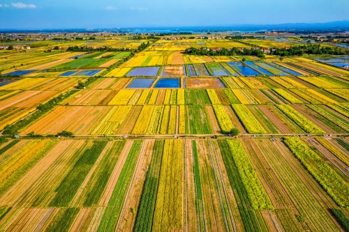 The earth colour