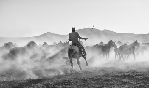 Cowboy