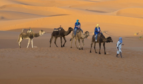 The Sahara