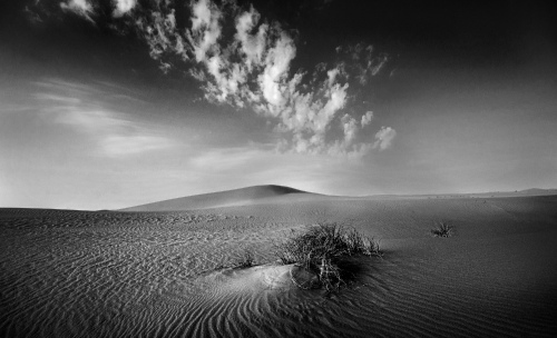 Desert