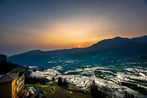 Morning glow on the terraces