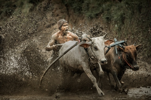 combat