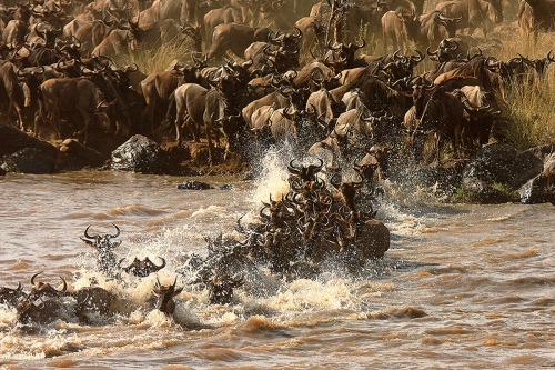MIGRATION_4