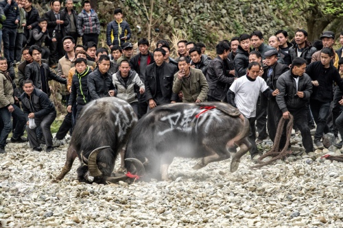Fierce battle