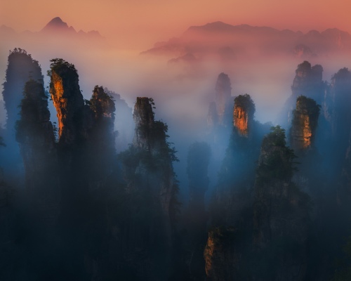 Tianzi mountain in the morning
