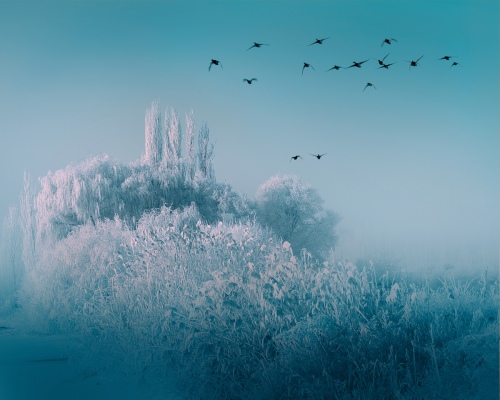 Snowfield