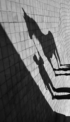 Shadows