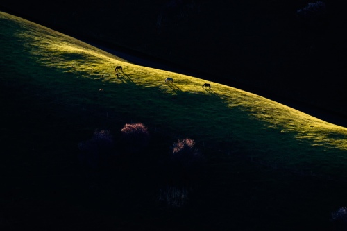 Dawn in the mountain