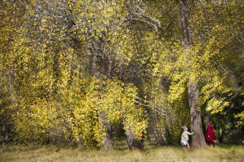Guo Jing