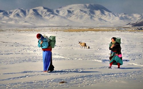 Tibetan carrying water