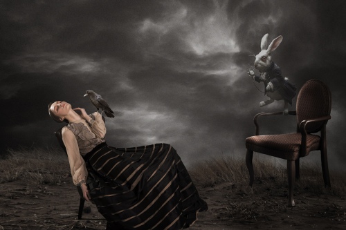 Dream world of rabbit