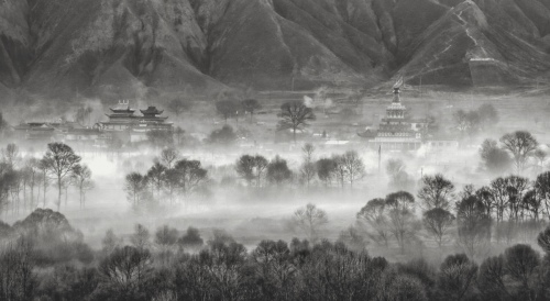 Zen of Buddhist Land