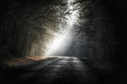 Morning Haze
