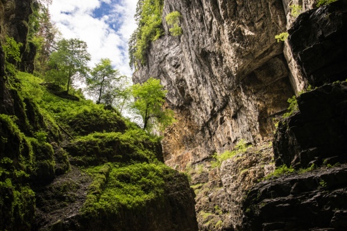 Wild Landscape