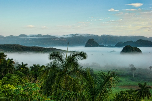 Mist